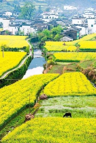 《九江文学社:北京头条》著名艺术家沈志昂先生近期美文集粹欣赏(图35)