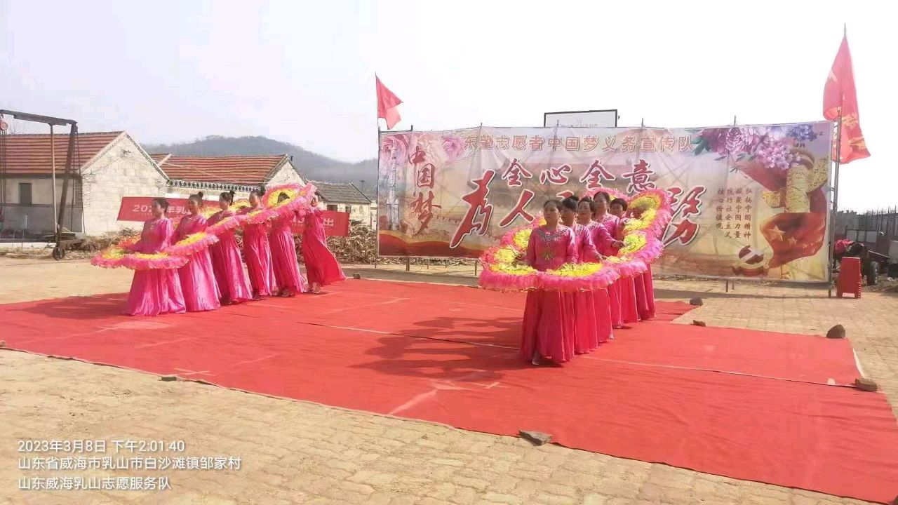 志愿心向党 巾帼绽芳华(图4)