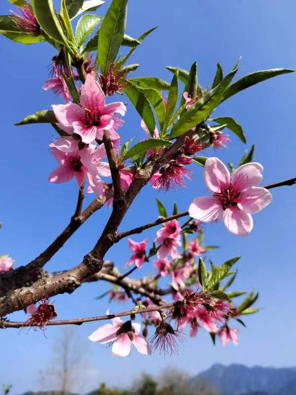 三元诗(外三首)文/詹克诚(图3)