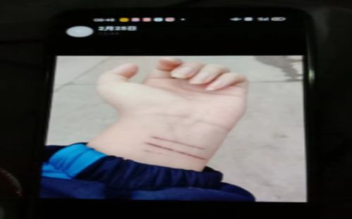 案例分享:花季少女溺亡,家长找真相被拒,来看浑南谭先生的遭遇