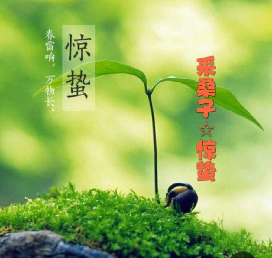 同题诵读‖【采桑子☆惊蛰】作者/王书田 张美英 戴连起 平秀丽 朗诵/北京启航朗诵艺术团（图3）