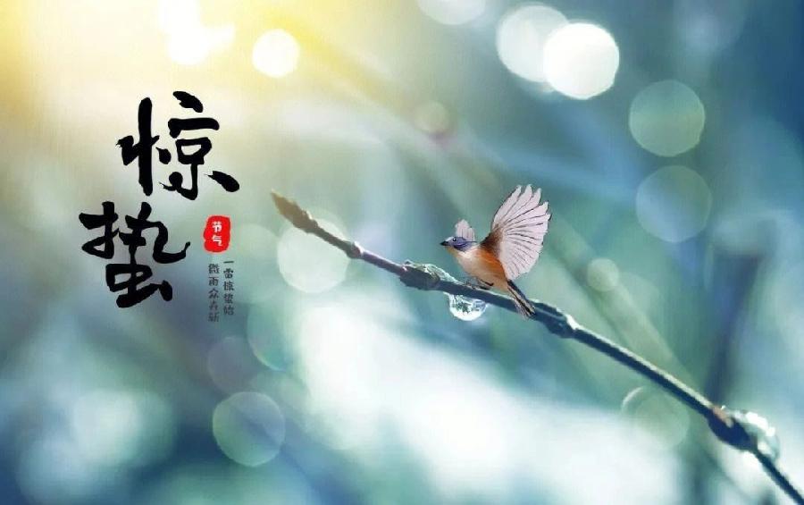 同题诵读‖【采桑子☆惊蛰】作者/王书田 张美英 戴连起 平秀丽 朗诵/北京启航朗诵艺术团（图9）