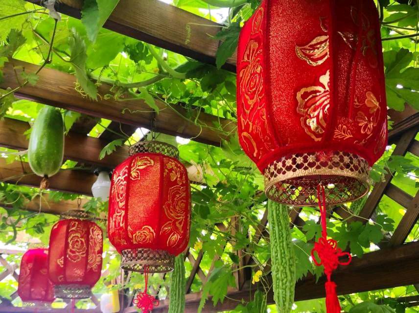 春华秋实:书月闲庭（图5）