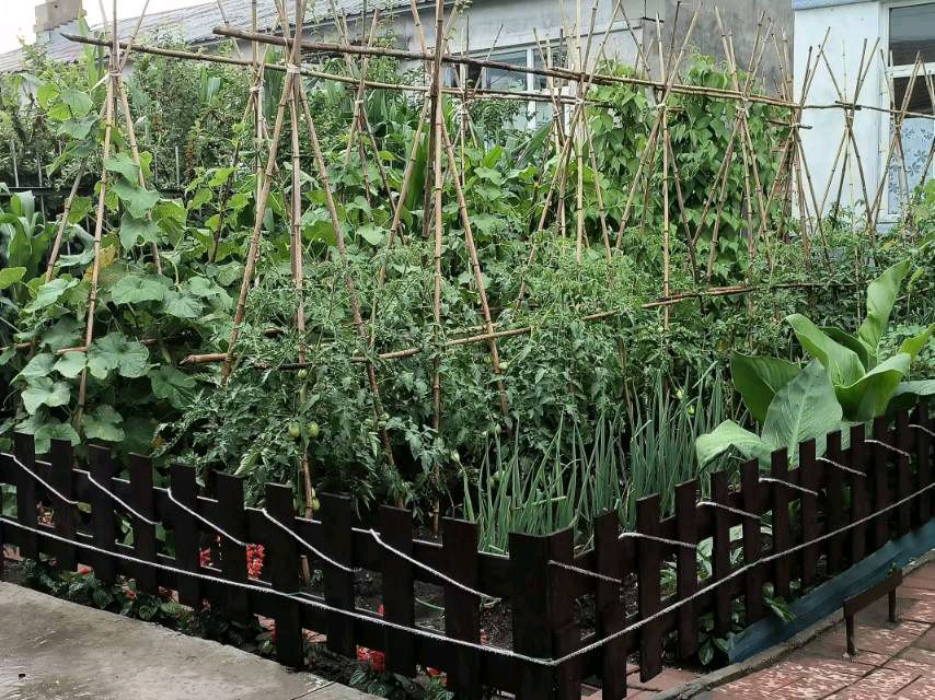 春华秋实:书月闲庭（图24）