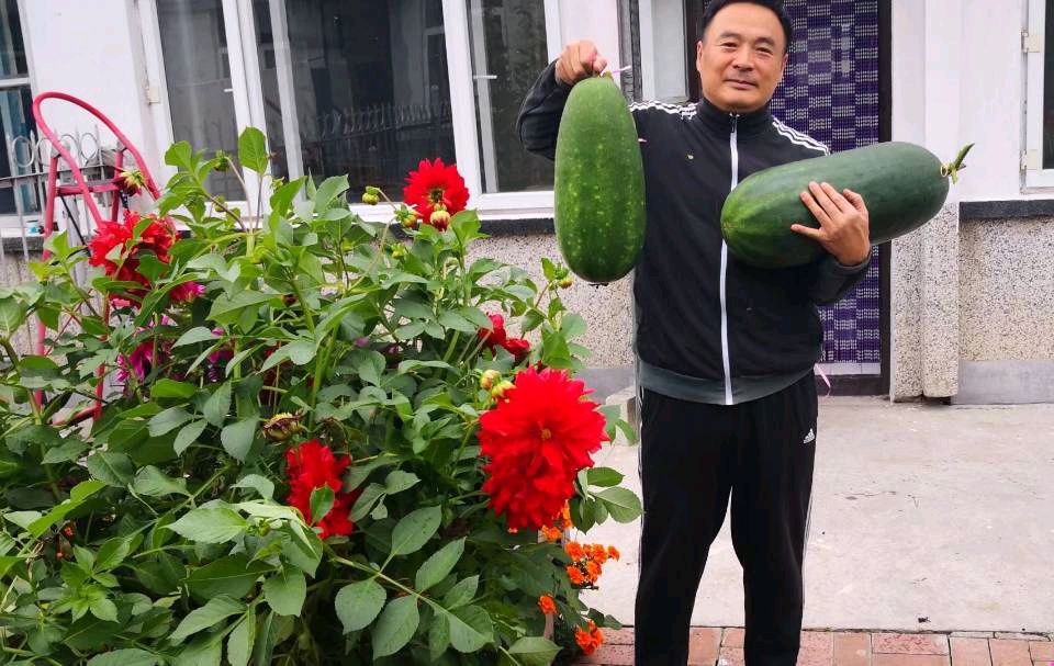 春华秋实:书月闲庭（图45）