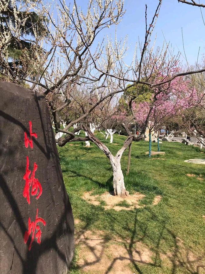 陈锦锋（湖北）古风小辑 【冰心文化传媒】主编 冰心（图5）