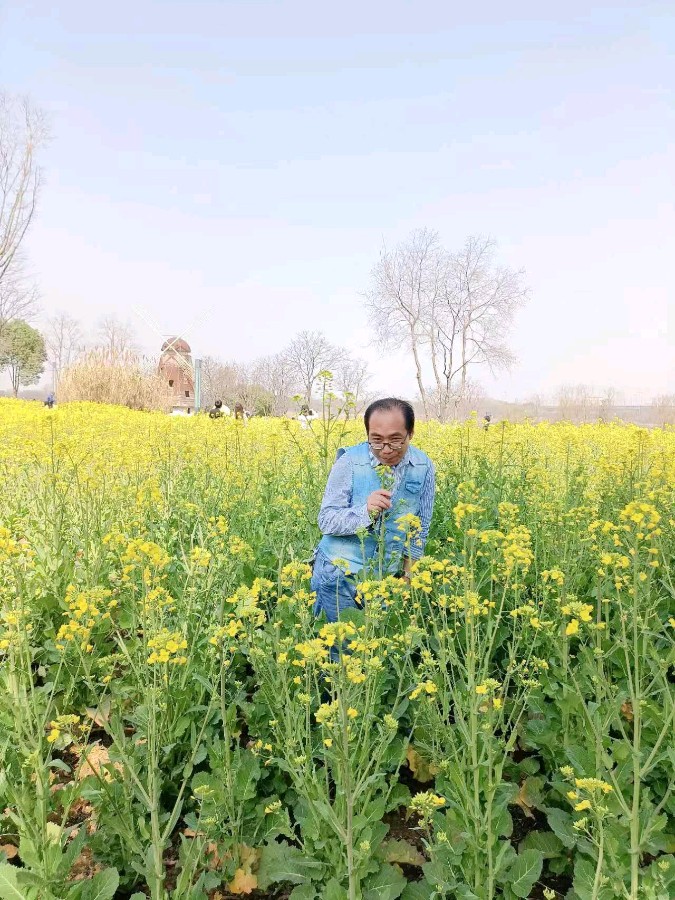 陈锦锋（湖北）古风小辑 【冰心文化传媒】主编 冰心（图15）