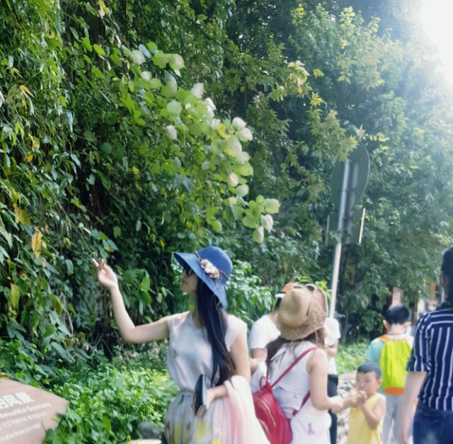 星月诗话||李春莲个人专辑—北京头条（图2）