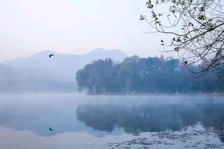 中华诗艺黑龙江分社●诗词微刊(十八)(图15)