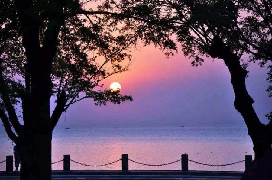 静静的夜 文/北极星（图2）