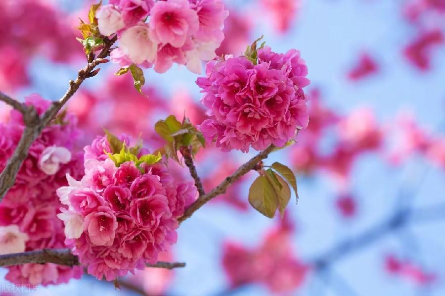 【神州源流诗苑】第892期[优秀现代诗]（含其他）周刊（图12）