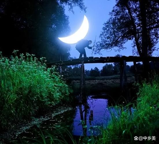 【经典推荐】昨夜天//玉兰花开时节 你会回来不（图4）