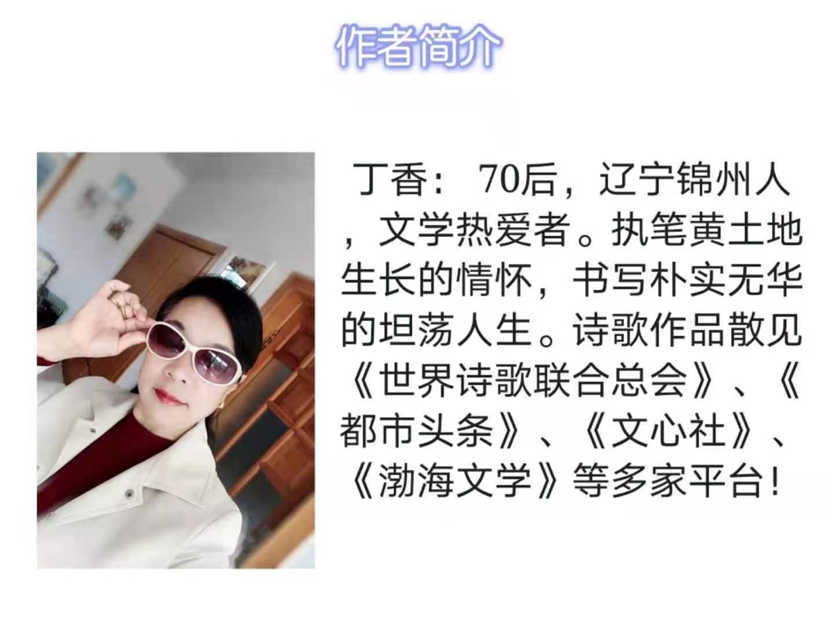 《写一首情诗》文：丁香【好莱坞总社】世界诗人名人展（9798）（图3）