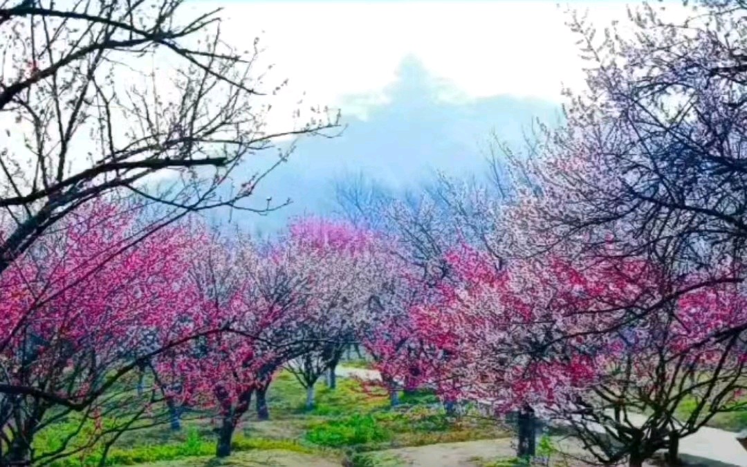 联机全球发布吴华龙作品欣赏（图5）