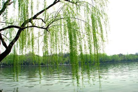 祖国，我们的春天来了文/陈文梅/青海（图3）