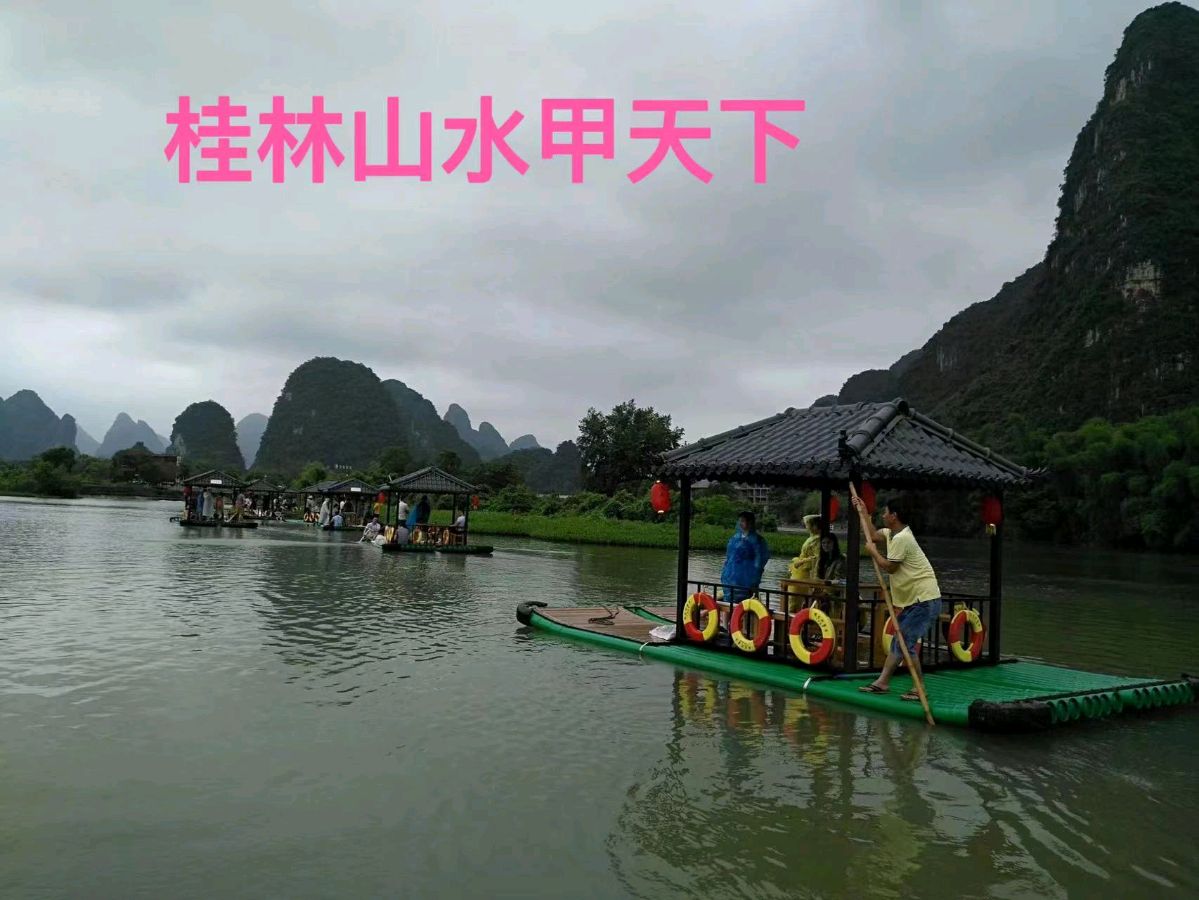 徐敏霞 癸卯年阳春集韵(图6)