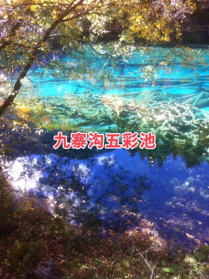 徐敏霞 癸卯年阳春集韵(图7)