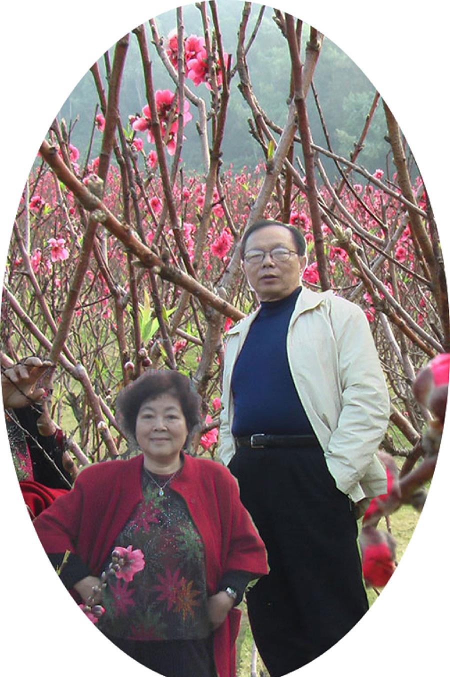 深圳莲花山下桃花林今昔-莲花山公园桃花林消失-文/老夫子、莫非-西银/北京头条（图3）