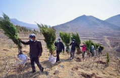 春的旋律之十:植树节之歌‖巴彦诗协诗词卷【435】(图5)