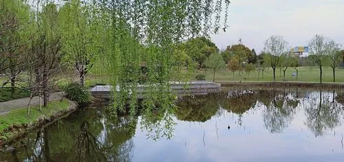 【华夏周刊】第132期诗友合辑