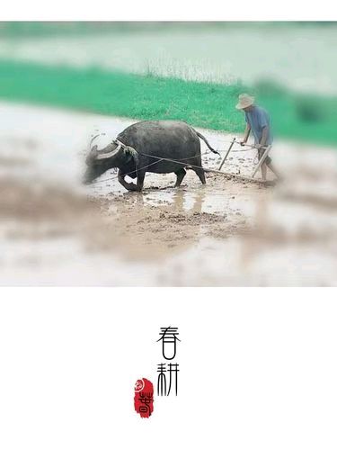 秋谷（吉林）诗词小辑【冰心文化传媒】主编 冰心（图6）