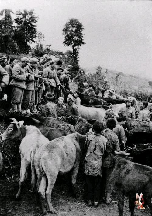 著名作家王宇鹏《长篇连载《稻湾记忆（上）》第四章 剿匪 ‖原始推荐人《穿越梦想工作室》（图11）