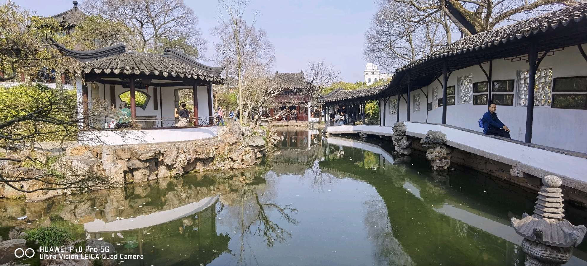山东诗人周淑范诗作