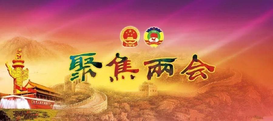 【原创】鲁坡//展望未来｛聚焦两会｝（图2）