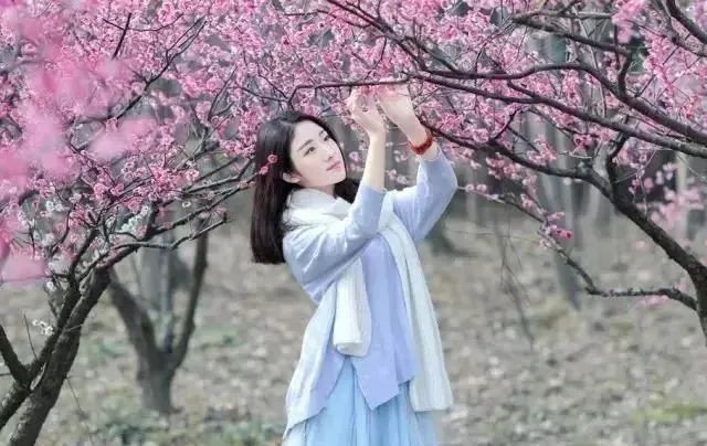 若梅花开/春风十里，不及一路有你（图3）