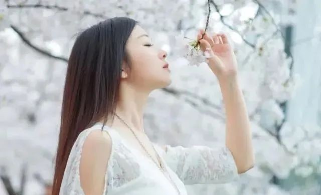 若梅花开/春风十里，不及一路有你（图4）