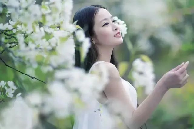 若梅花开/春风十里，不及一路有你（图5）