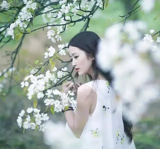 若梅花开/春风十里，不及一路有你（图2）