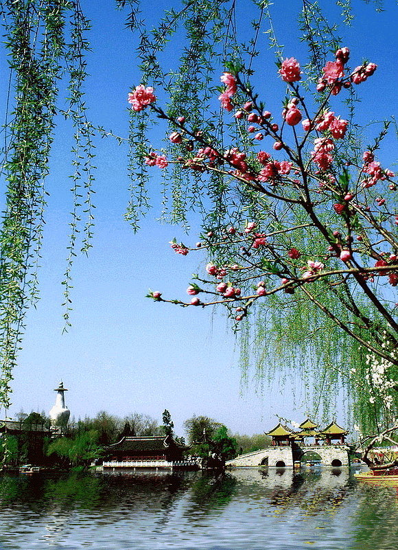 赵国伟歌词《幸福春天》主播:花蕊；编辑:开心快乐【运河之春】(第027期)（图4）