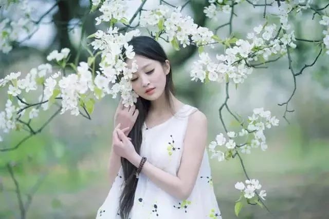云 山/最是一年春好处(图4)