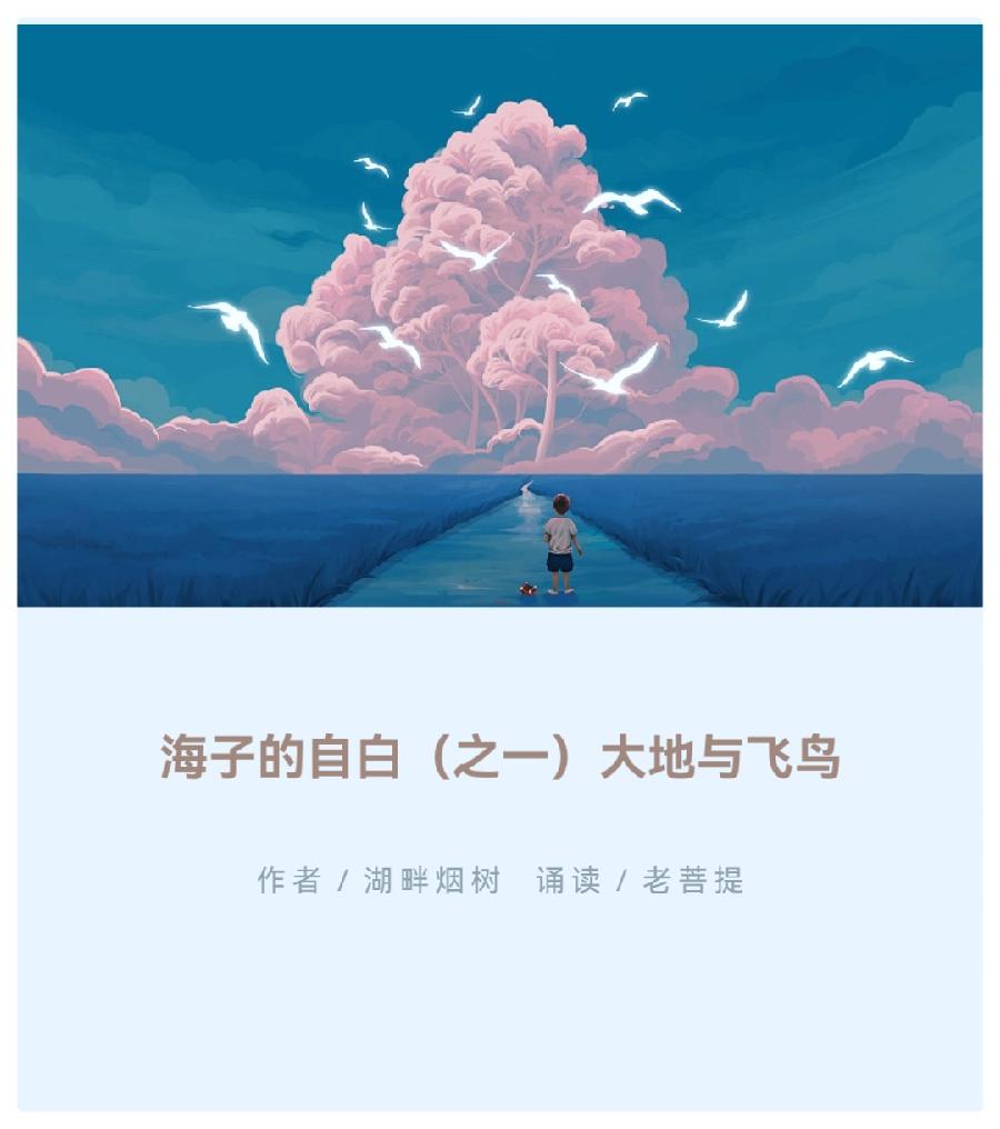 《海子的自白（之一）大地与飞鸟》作者：湖畔烟树∥诵读：老菩提（图2）