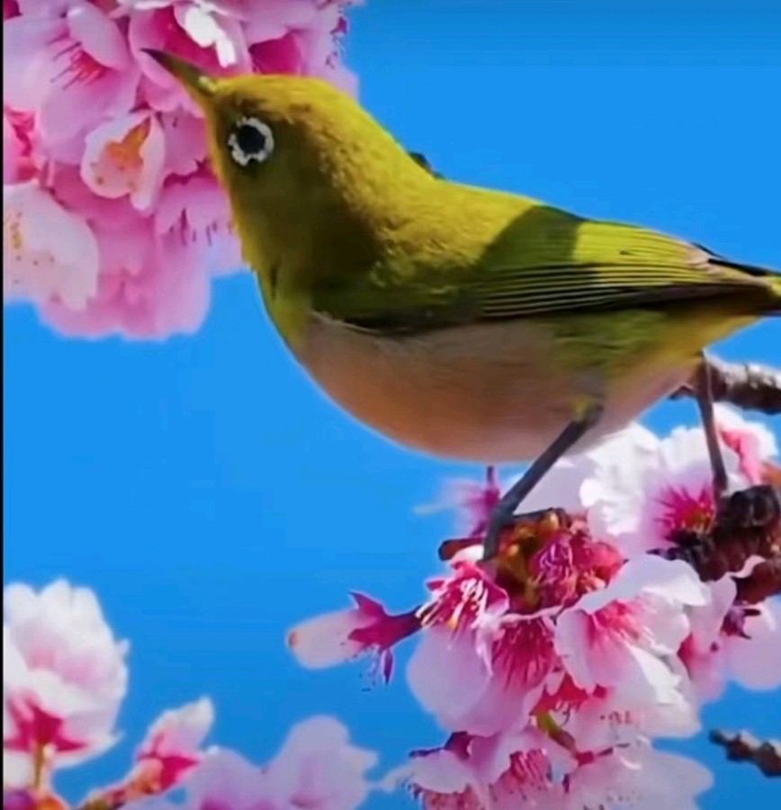 环球诗歌 《父爱如山》(图4)