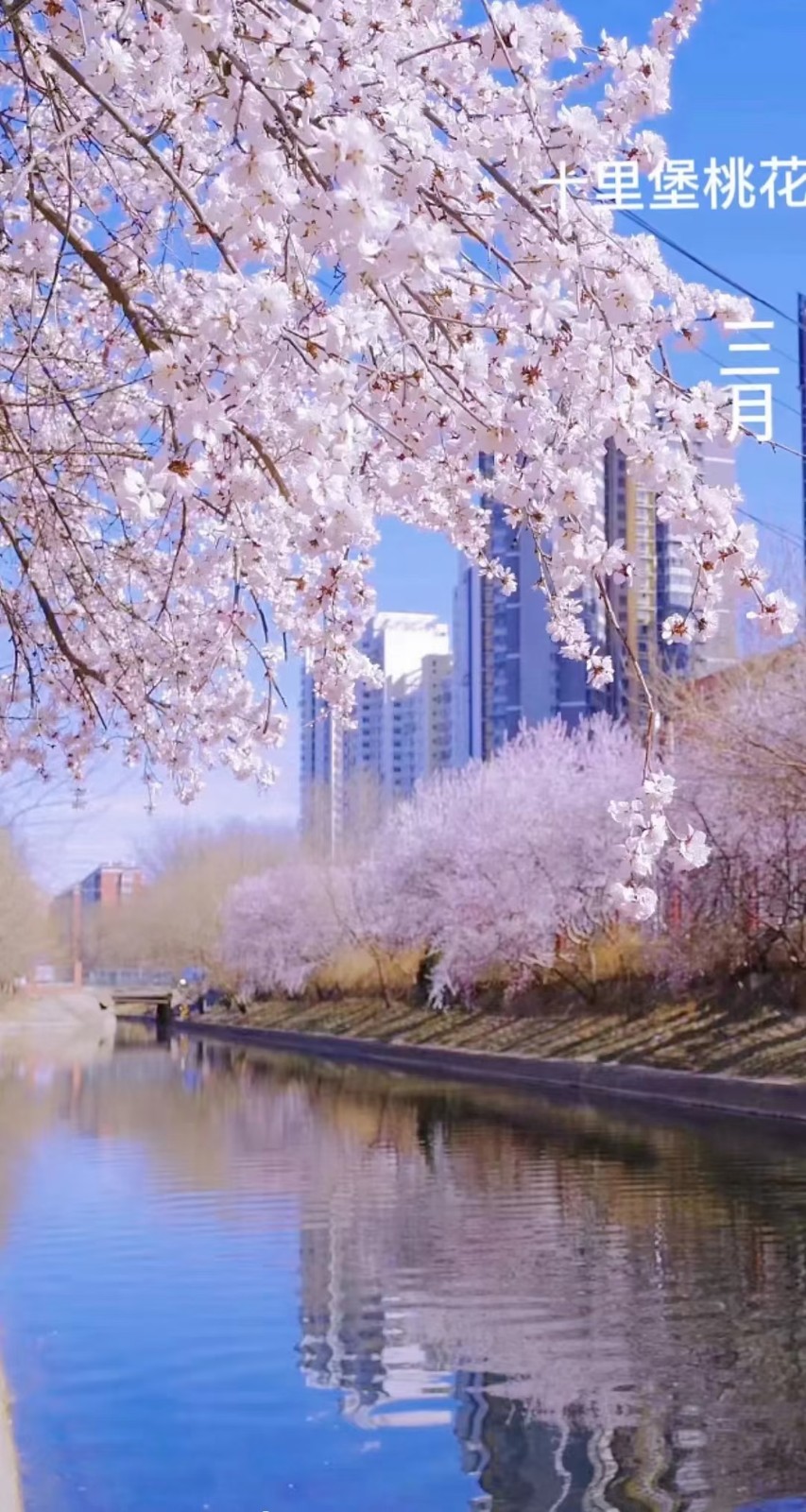 《九江文学社：北京头条》《名家专刊》著名书法家余斯文先生佳作欣赏》（图2）