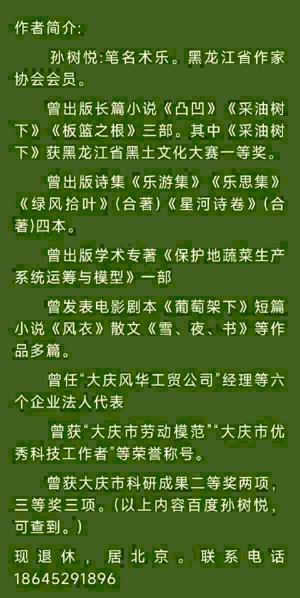 中华诗艺黑龙江分社●诗词微刊(第23期)(图22)