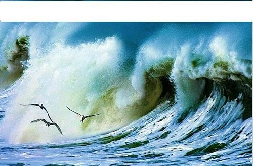 李明生朗诵【海燕】作者/俄*高尔基（图9）