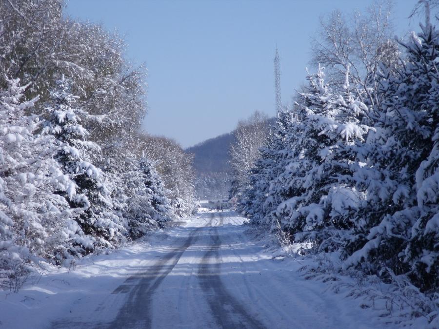 春的旋律之十四：对句春雪‖巴彦诗协诗词卷【446】（图4）