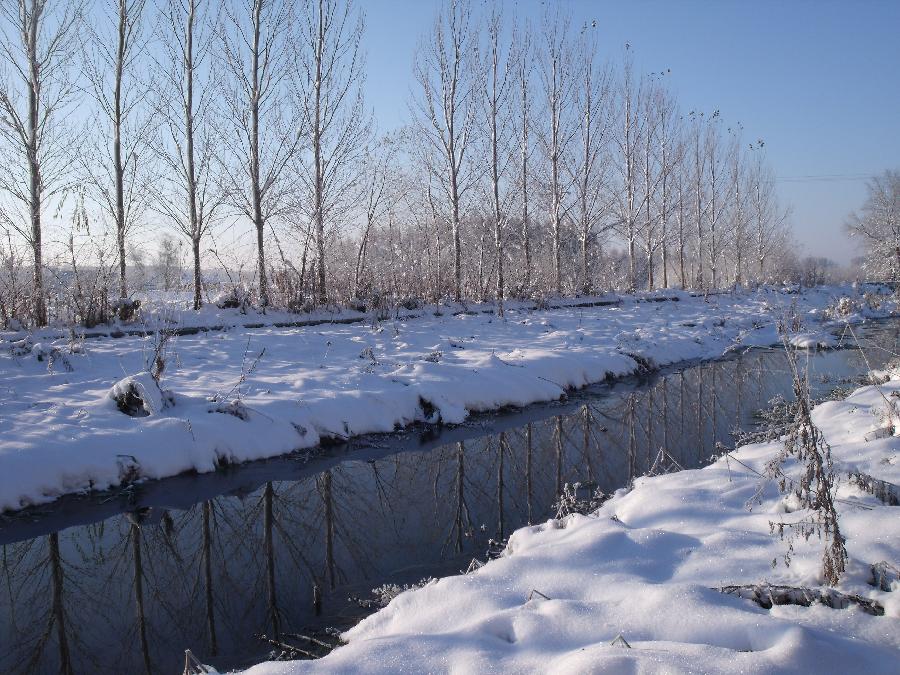 春的旋律之十四：对句春雪‖巴彦诗协诗词卷【446】（图7）