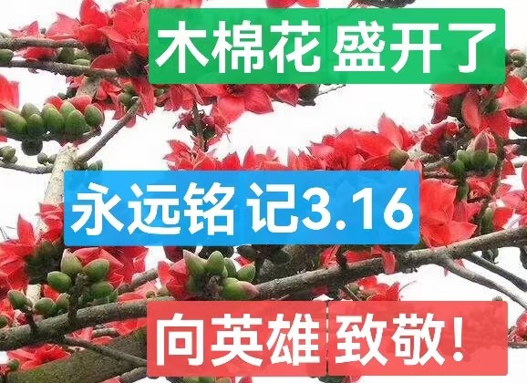《九江文学社：有声文学》《老兵专刊》陈新良政委佳咏《七律.诗二首 》金牌主播/刘俊韬（图8）