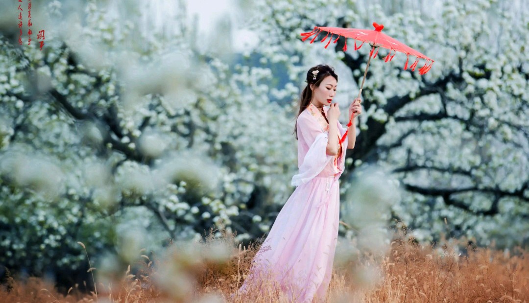 华夏流水诗社／王安珍老师专辑（图2）