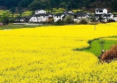 【神州源流诗苑】第898期[优秀近体诗]周刊（图7）