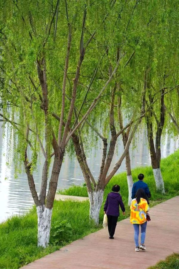 联机全球发布吴华龙作品欣赏（图8）