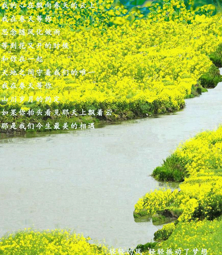 联机全球发布吴华龙作品欣赏（图15）