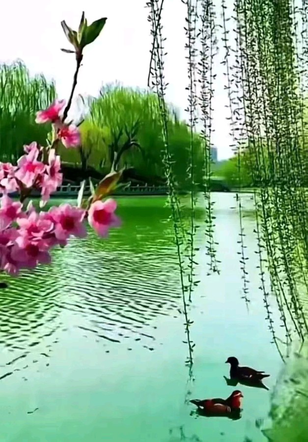 联机全球发布吴华龙作品欣赏（图22）