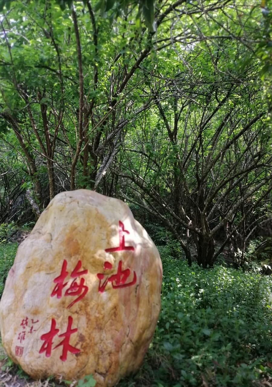 七律 从化(三首)文/江冲(图16)
