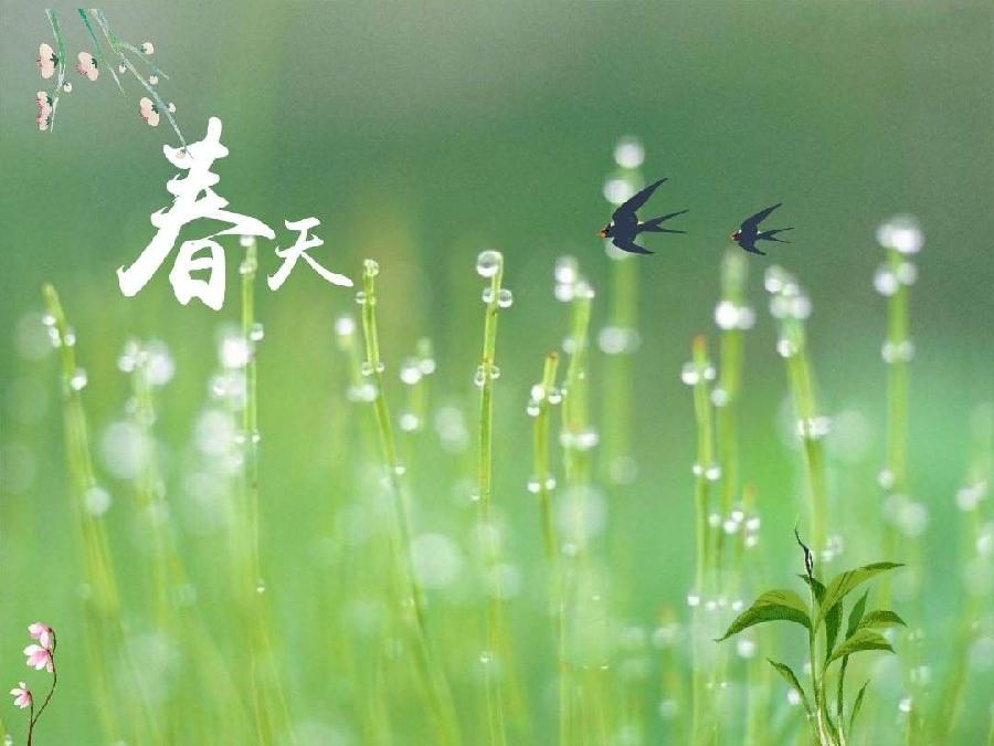 墨语朗诵【春】作者/六月荷（图4）