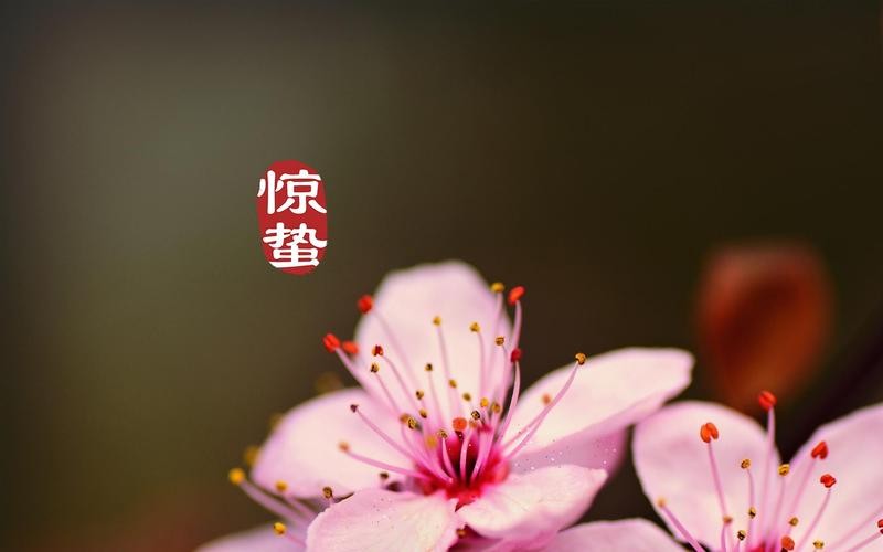 【经典推荐】秋风清影//七律•惊蛰（图2）